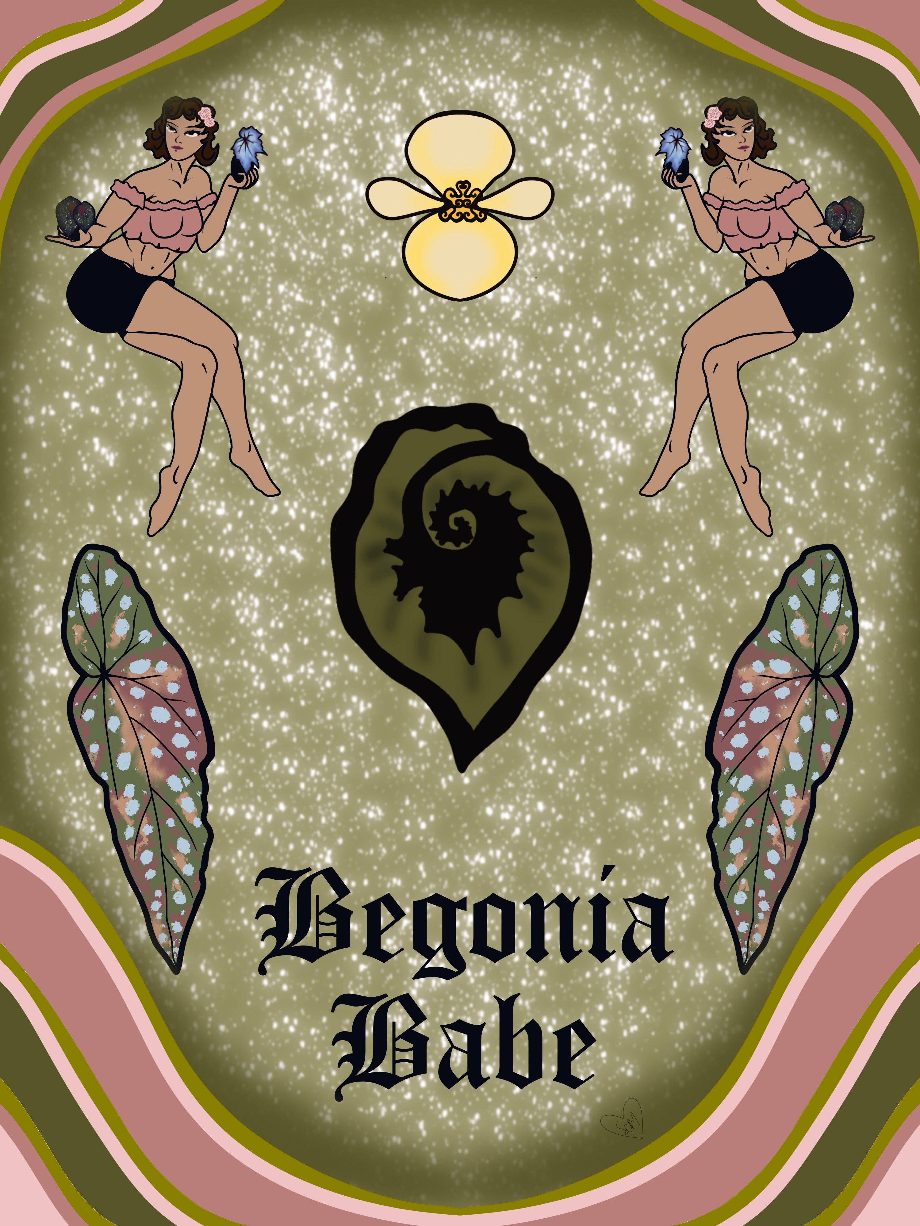 Begonia Babe Poster 11x14